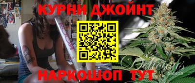 шишки Брянск