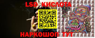 шишки Брянск