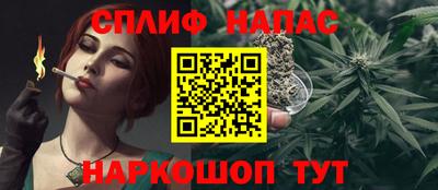 шишки Брянск