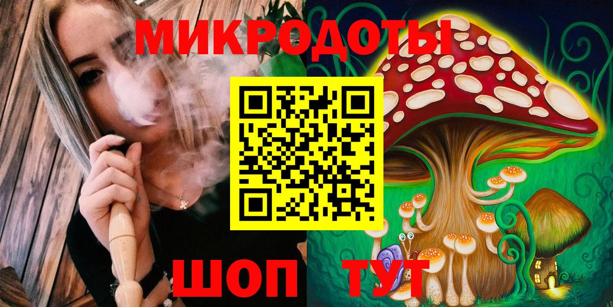 Псилоцибиновые грибы Psilocybine cubensis Омск