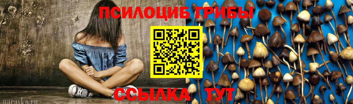 Псилоцибиновые грибы Psilocybe  Вход с VPN  Омск 